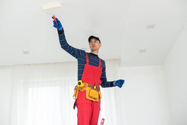 Best Commercial Mold Inspection  in Beloit, WI